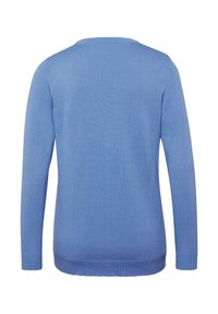 Pull bleu clair, manches longues, encolure ronde, poignets et ourlet côtelés, texture lisse, design simple, sans motifs ni accents visibles.