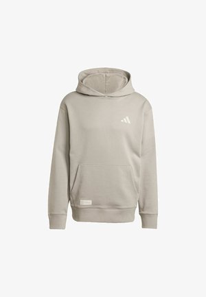Light gray hooded sweatshirt made of soft material, featuring a front pocket and a subtle logo detail on the chest. Smooth texture.