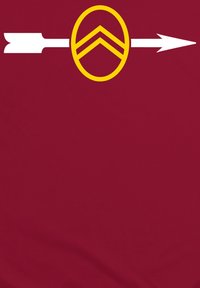 Kastanjefarvet stof med en iøjnefaldende gul cirkel, der har to chevroner og en hvid pil, der peger mod højre. Enkel og grafisk design.