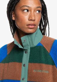 Veste en polaire verte, marron, bleue. Tissu texturé avec un design en blocs de couleur et une fermeture à boutons. Dotée d'un col montant et d'un logo brodé.