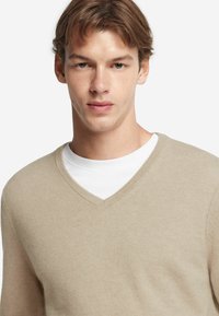 Ung man med ljusbrunt hår iklädd en beige V-ringad tröja över en vit rundhalsad skjorta mot en vit bakgrund.