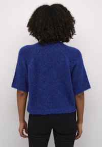 Blauer, kurzärmeliger, kuscheliger Strickpullover mit Raglan-Design und leicht gekürztem Saum; besteht aus einem weichen, strukturierten Stoff.