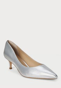 Silver metallic high-heeled pump with a pointed toe, smooth texture, and a small block heel. Interior features a beige lining.