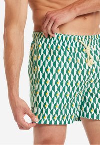 Gassa d’Amante SORRENTO - Shorts da mare - verde stampa grafica