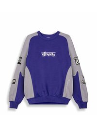 Felpa viola e grigia con maniche lunghe, polsini a coste, collo rotondo e varie grafiche e testi stampati sulle maniche e sul davanti.