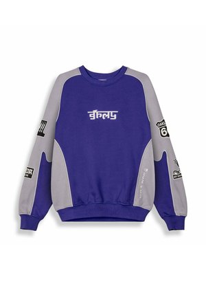 Lila und grauer Sweatshirt mit langen Ärmeln, gerippten Bündchen, Rundhalsausschnitt und verschiedenen aufgedruckten Grafiken und Text auf den Ärmeln und der Vorderseite.