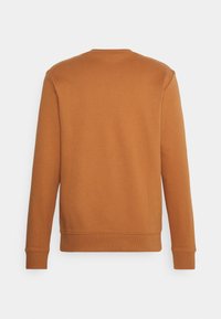 Brown cotton sweatshirt with a crew neck, long sleeves, and ribbed cuffs. Smooth texture with a simple, unadorned back design.