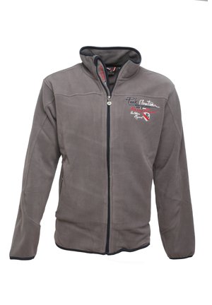 Peak Mountain CONAC - Fleecejakke - grey