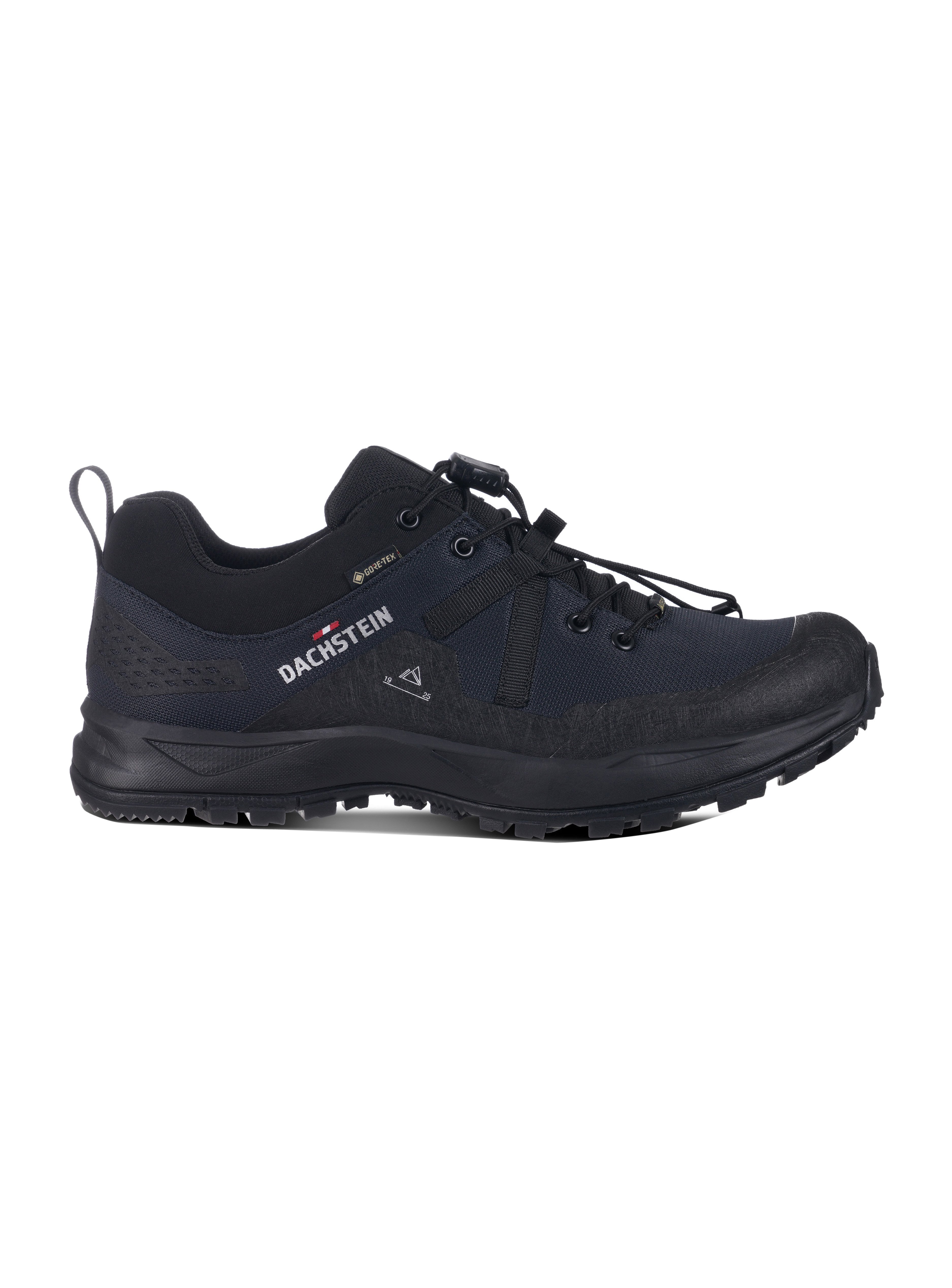 Dachstein DACHSTEIN OUTDOORSCHUHE DELTA PEAK GTX - Hiking shoes