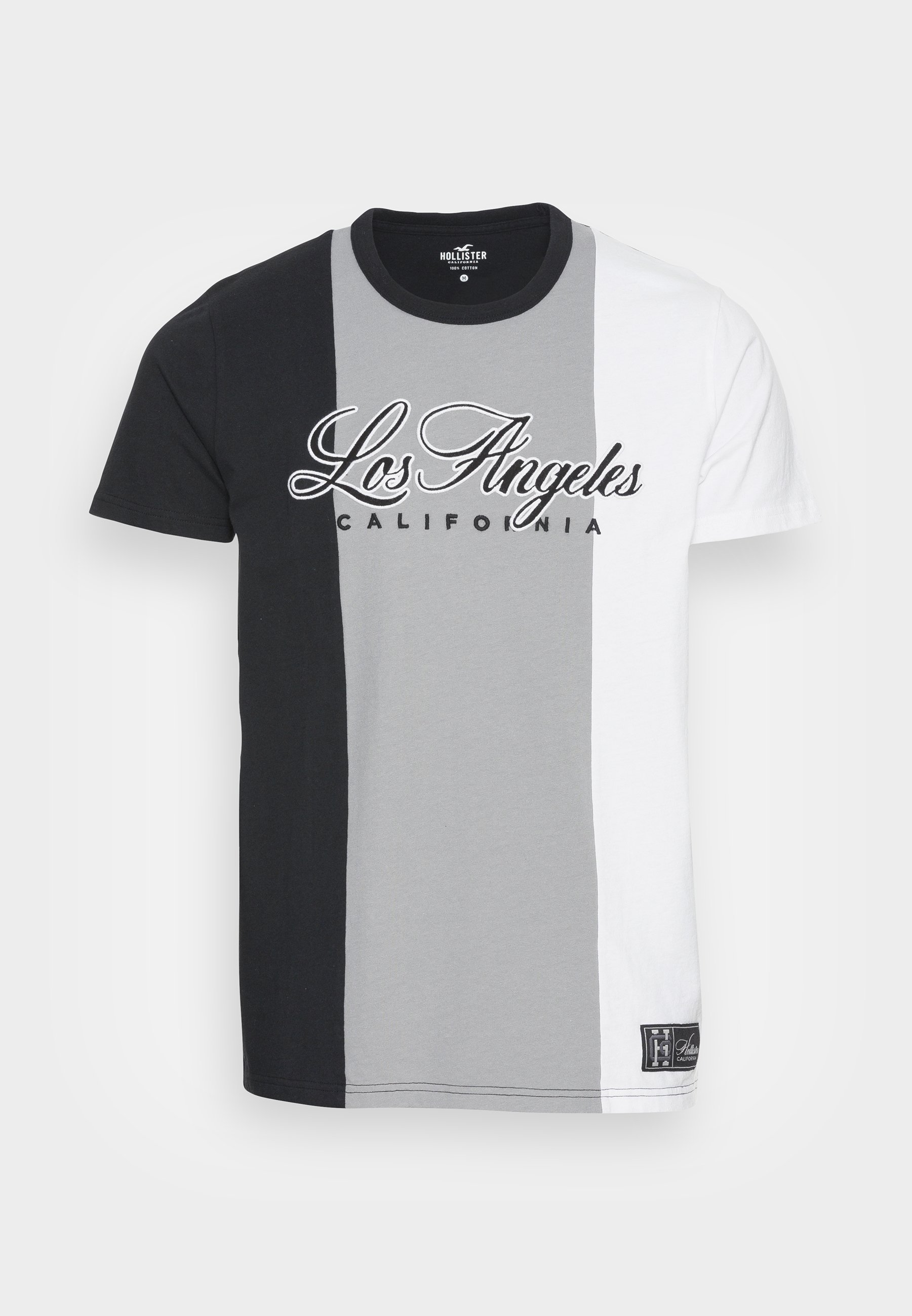 Hollister Co. LARGE SCALE TECH - Basic 