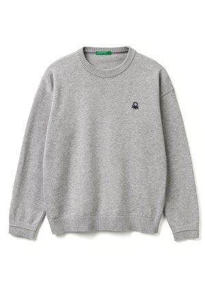 Trui - grey