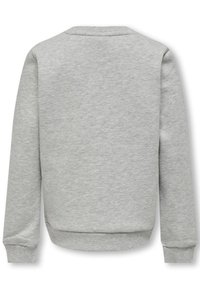 Grå sweatshirt med långa ärmar, rundad halsringning, ribbade ärmslut och nederkant, tillverkad av mjukt tyg med slät yta och utan synliga mönster eller tryck.