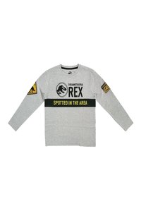 Graues Langarm-T-Shirt aus Baumwolle. Enthält den Text "TYRANNOSAURUS REX", Dinosauriergrafiken und Patches an den Ärmeln mit schwarzen und gelben Akzenten.