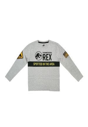 LONGSLEEVE  - Long sleeved top - grau