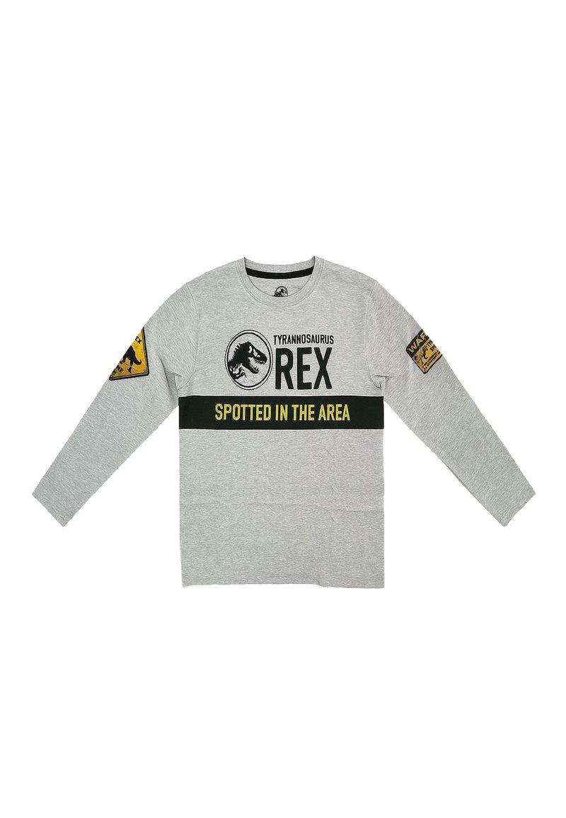 Graues Langarm-T-Shirt aus Baumwolle. Enthält den Text "TYRANNOSAURUS REX", Dinosauriergrafiken und Patches an den Ärmeln mit schwarzen und gelben Akzenten.