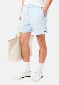 Bañador a rayas en tonos azul claro con cinturilla elástica y cordón, que presenta un pequeño logo de cocodrilo verde en la pierna.