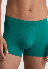 Groene boxershorts gemaakt van lichtgewicht fabricage, met een aansluitend ontwerp, elastische tailleband en een gladde textuur. Geen zichtbare patronen.