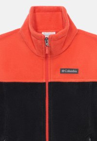 Columbia STEENS MT UNISEX - Flīsa jaka - zing/black