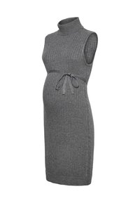 RITA ROLL NECK DRESS - Robe pull - magnet