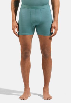 Boxer Briefs - arctic