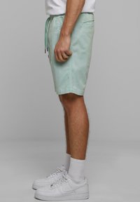 Des shorts verts menthe en coton, avec une ceinture élastique à cordon de serrage, des poches latérales et une coupe standard. Associés à des baskets blanches.