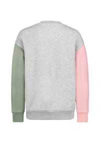 Grauer Sweatshirt mit einem grünen und einem pinken Ärmel, von hinten auf einem weißen Hintergrund präsentiert.