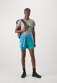 Patagonia DAILY GRAPHIC LANDS - Sport T-Shirt - feather grey