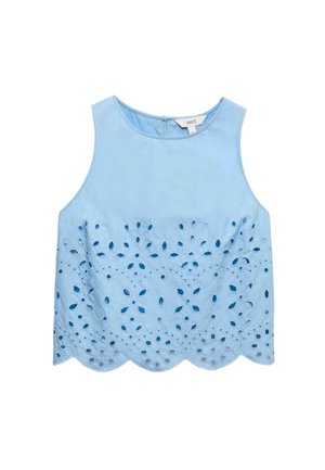 Lichtblauw mouwloos cropped topje met bloemrijke opengewerkte borduursels en een golvende zoom, ritssluiting aan de achterkant, effen bovenstuk.