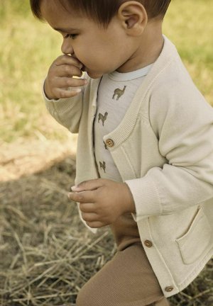 Beige Strickjacke mit Holzknopf, getragen über einem hellblauen Hemd mit braunen Tiermotiven, kombiniert mit braunen Hosen.