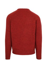 Roter Strickpullover mit langen Ärmeln, gerippten Bündchen und Saum, von hinten vor einem weißen Hintergrund gezeigt.