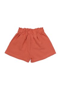 Rust-colored shorts with a gathered elastic waistband and loose fit. Made from soft, lightweight fabric with a smooth texture.