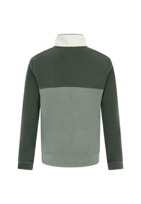 Fleecejack met hoge kraag, met een kleurblokontwerp in donkergroen en lichtgroen, een gladde textuur en lange mouwen.