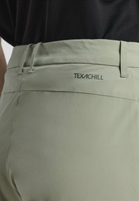 Jack Wolfskin PRELIGHT STRIDE - Broek - mint leaf