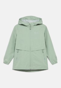 Unselected, green zinnia