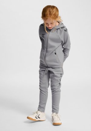 Grauer Sport-Trainingsanzug mit Reißverschlussjacke und Hose mit elastischem Bund. Mit einem Logo auf der Brust und Seitenstreifen. Der Stoff wirkt glatt.