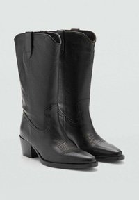 Botas de vaquero de cuero negro con punteras afiladas, tacones bajos y un detalle de costura en el caño. Textura suave en toda su superficie.