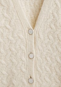 Massimo Dutti Kardigan