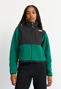 The North Face W RETRO DENALI JACKET - Giacca in pile - evergreen/black