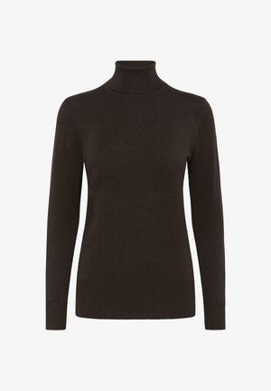 Dark brown long-sleeve turtleneck sweater with ribbed cuffs and hem, displayed against a plain white background.