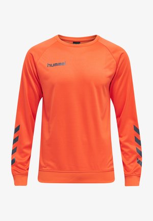 Oranje sport sweatshirt met lange mouwen, ronde hals en zwarte chevronpatronen langs de armen. Gemaakt van een gladde, synthetische stof.