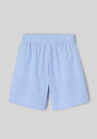 Shorts de bain rayés bleu et blanc avec une taille élastique et une coupe ample, présentant des rayures verticales, un tissu léger, et sans poches.