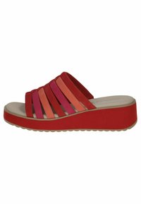 Kontsaga tagant lahtised kingad - red comb