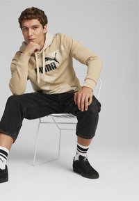 Puma POWER GRAPHIC - Jersey con capucha - prairie tan