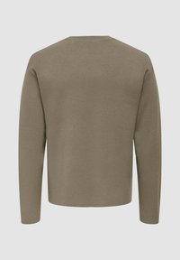 Maglione a maniche lunghe in verde oliva, con scollatura rotonda e texture liscia, dal design semplice e privo di decorazioni.