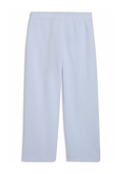 PUMA SPORTY CATS RELAXED JOGGINGHOSE UNISEX - Tracksuit bottoms - snow mountain blue — photo 5