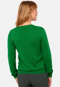 Mahogany RAISON - Strickpullover - basil
