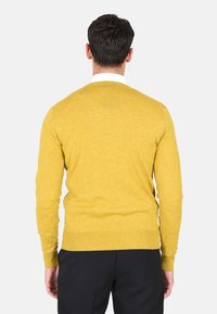 Ciabalù SCOLLO A V - Maglione - senape