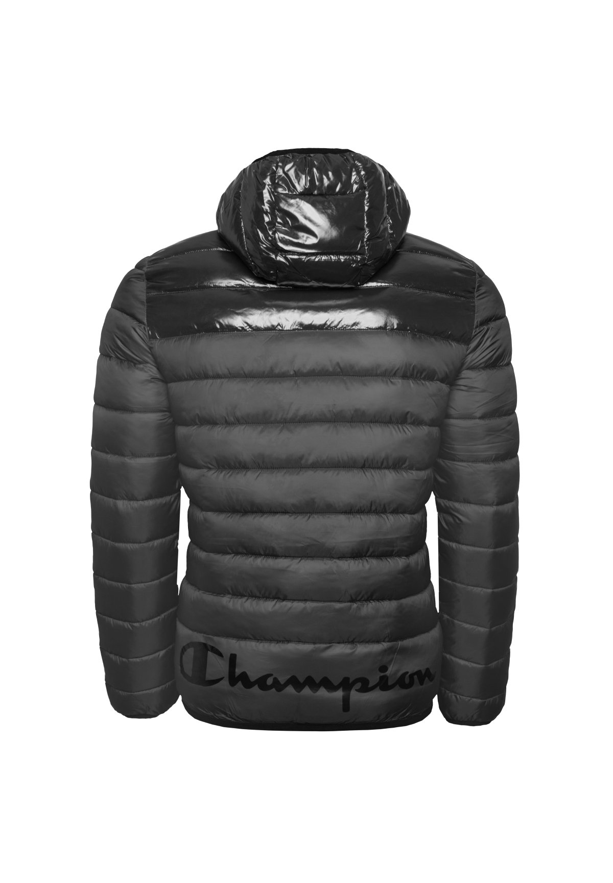 champion winter coat