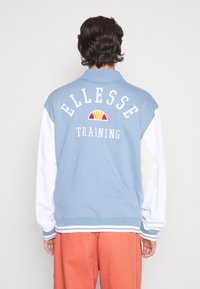 Jasno niebieska bluza z białymi rękawami, z napisem "ELLESSE TRAINING" wyszytym z tyłu. Miękka tekstura, ściągacze u rękawów i dołu.