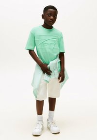 Tommy Hilfiger SIGNATURE EMBROIDERY - Camiseta estampada - menthol